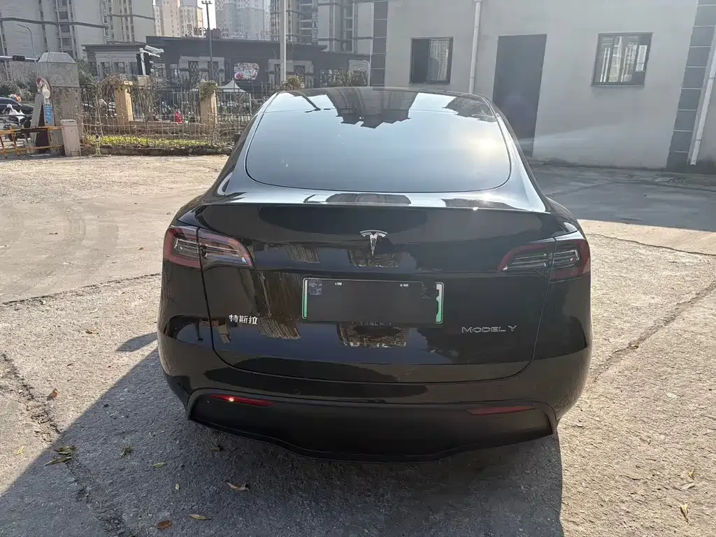 Tesla Model Y — фото 9