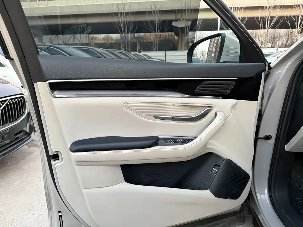 BYD PLUS New Energy 2024 из CN, фото 4