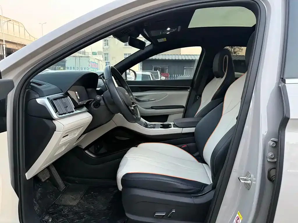 BYD PLUS New Energy 2024 из CN, фото 3