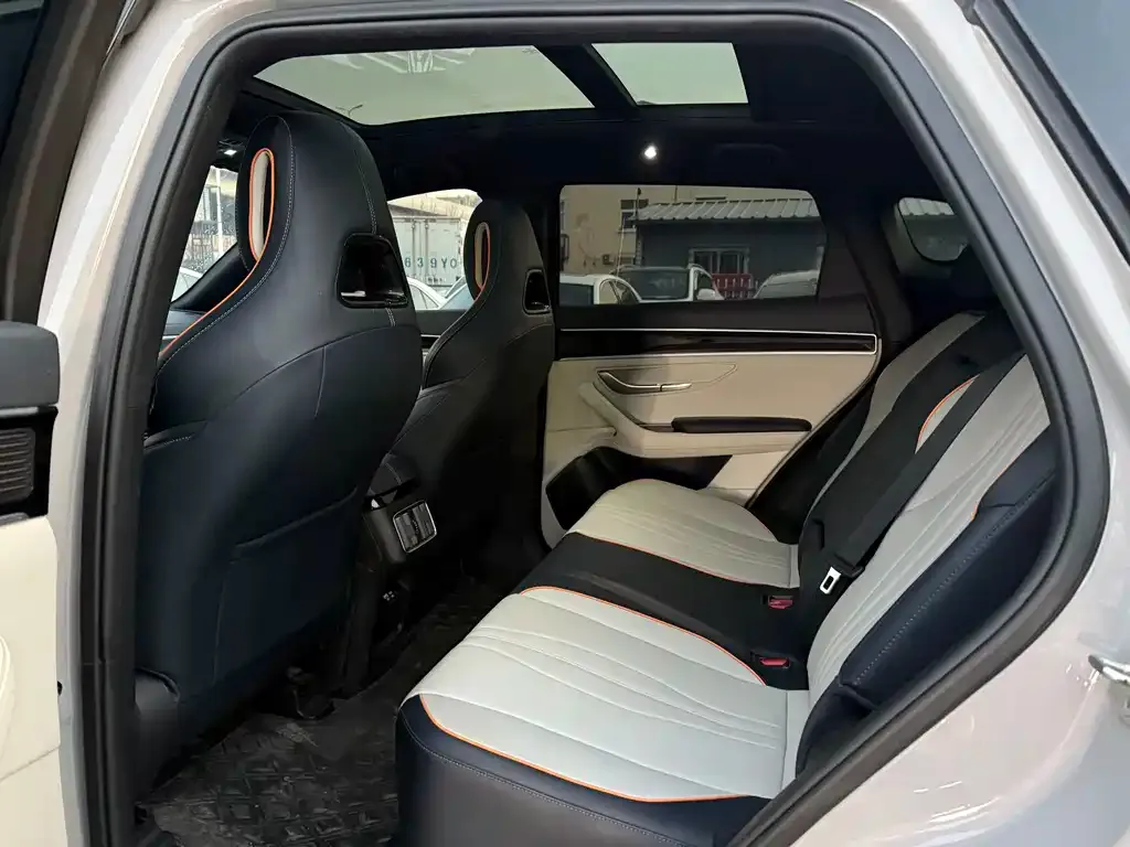 BYD PLUS New Energy 2024 из CN, фото 6