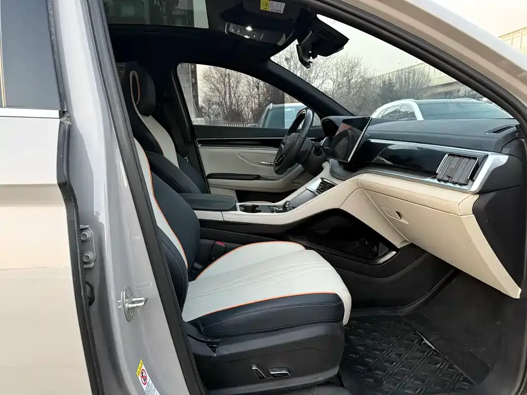 BYD PLUS New Energy 2024 из CN, фото 10
