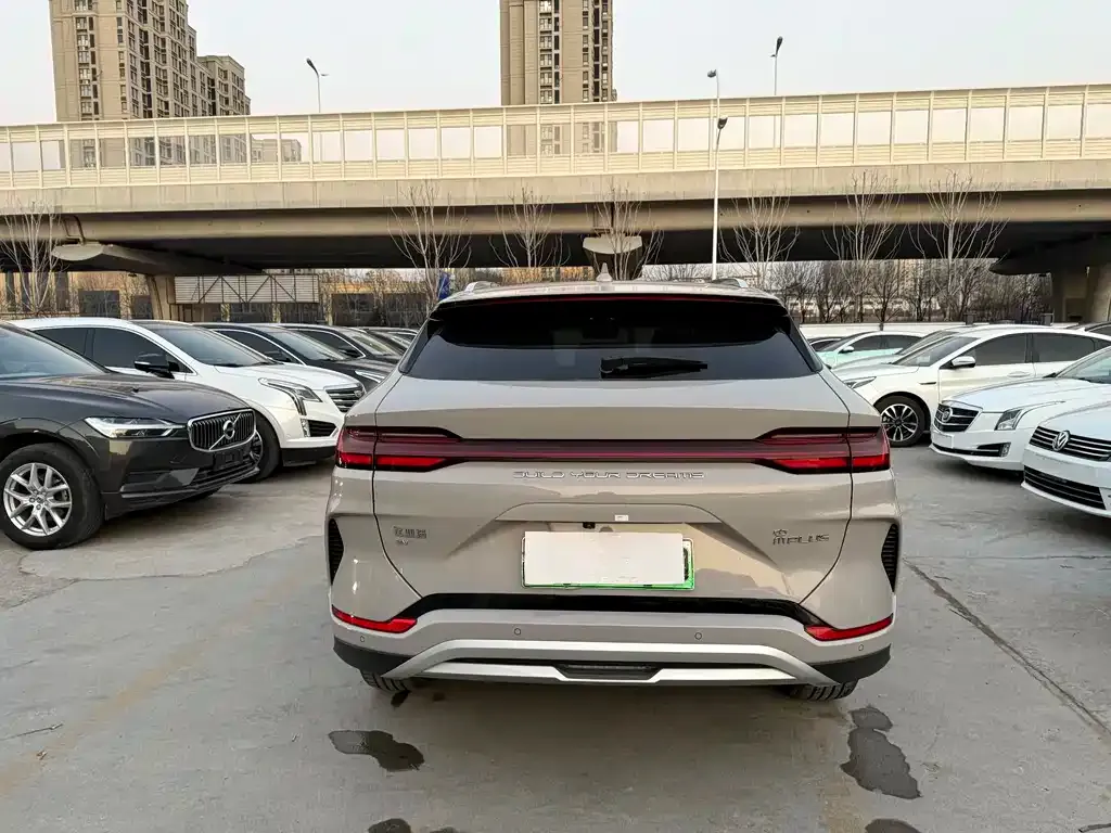 BYD PLUS New Energy 2024 из CN, фото 2