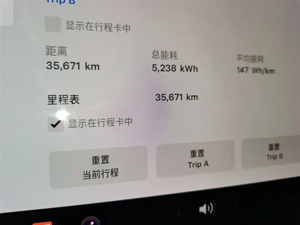 Tesla Model 3 2021 из CN, фото 3