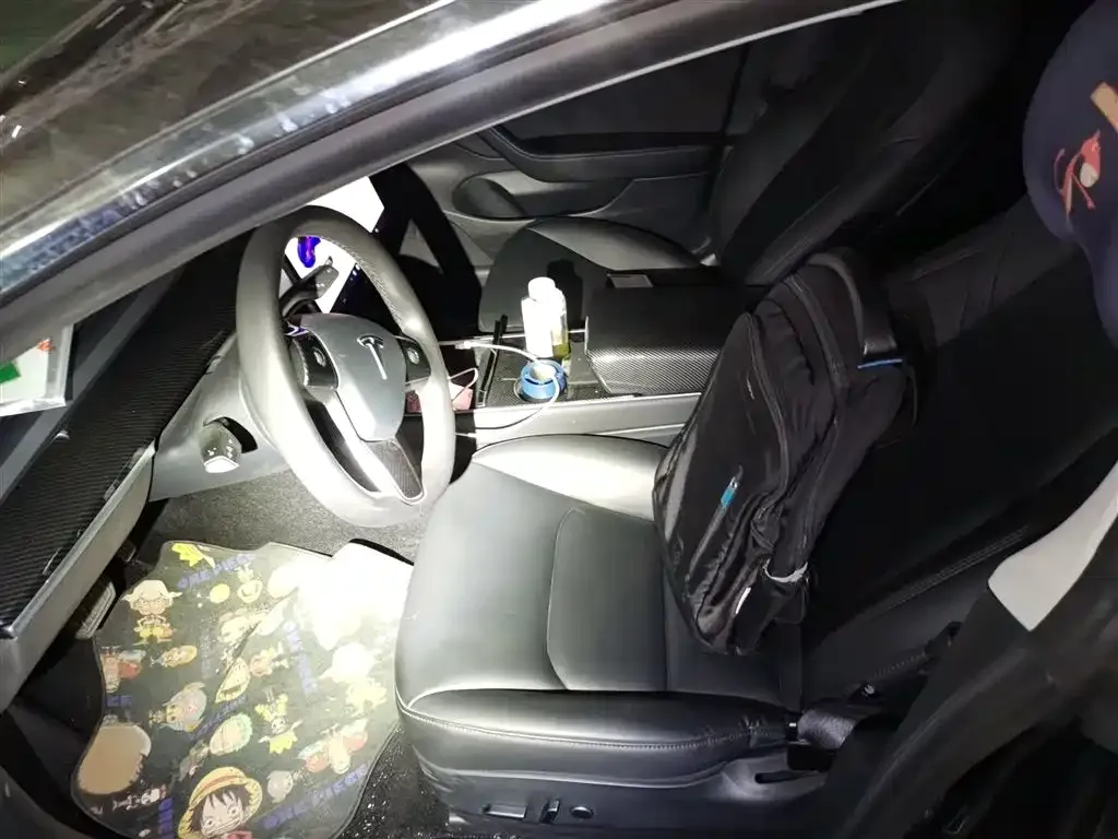 Tesla Model 3 2021 из CN, фото 8