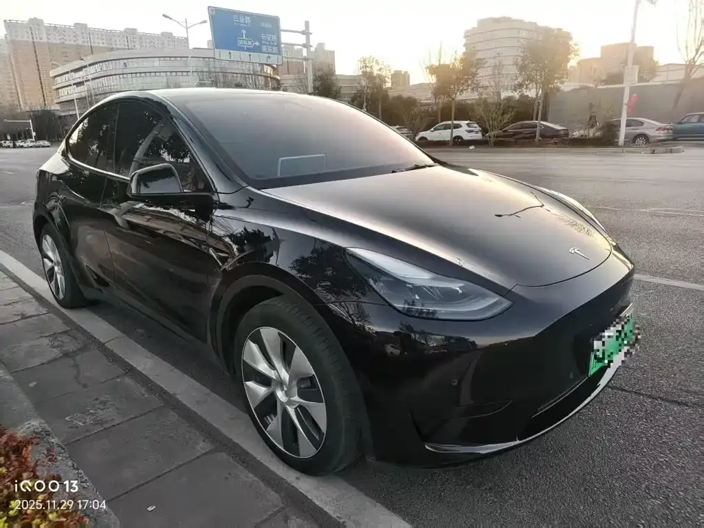Tesla Model Y 2023 из CN, фото 6