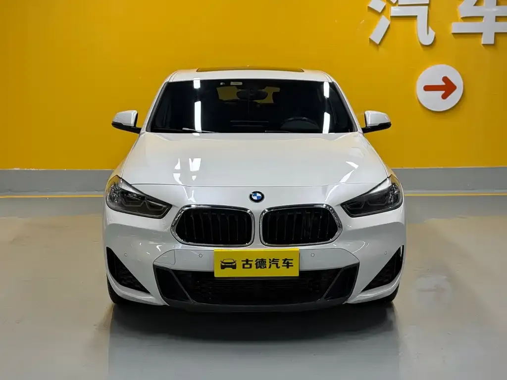 BMW X2 2021 из CN, фото 3