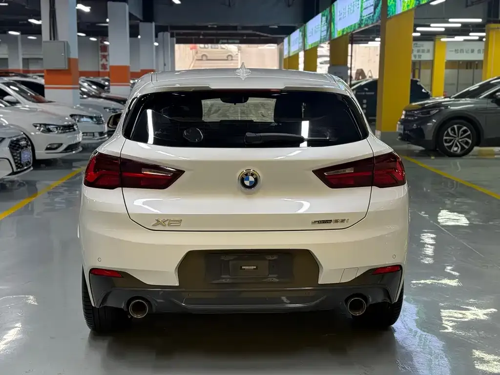 BMW X2 2021 из CN, фото 6