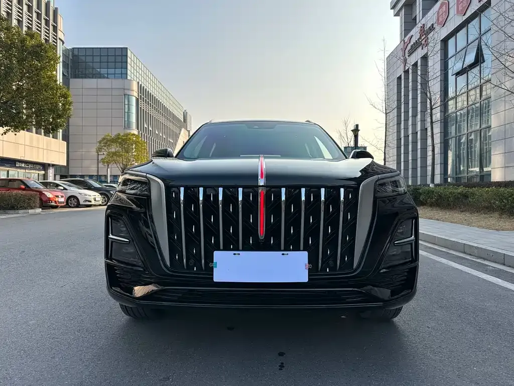 Hongqi HS5 2025 из CN, фото 10