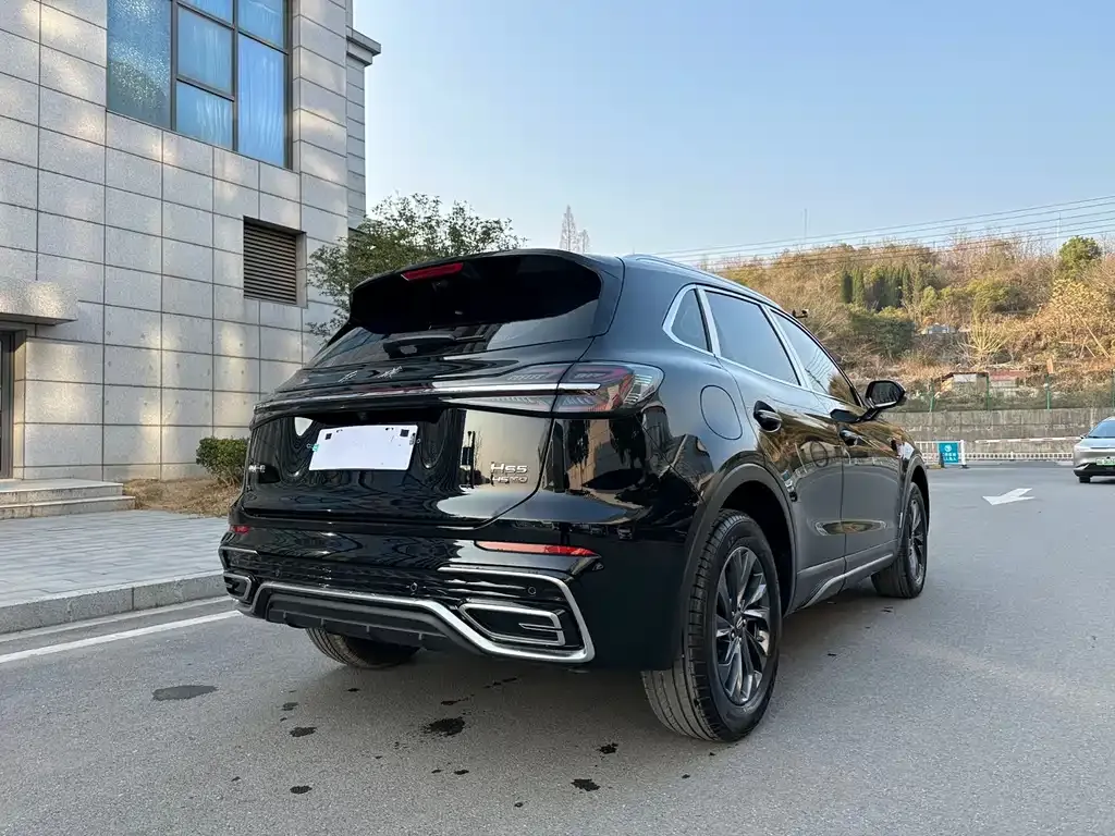 Hongqi HS5 2025 из CN, фото 6