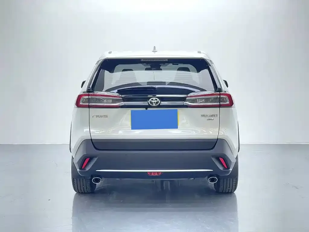 Toyota Wildlander 2021 из CN, фото 3