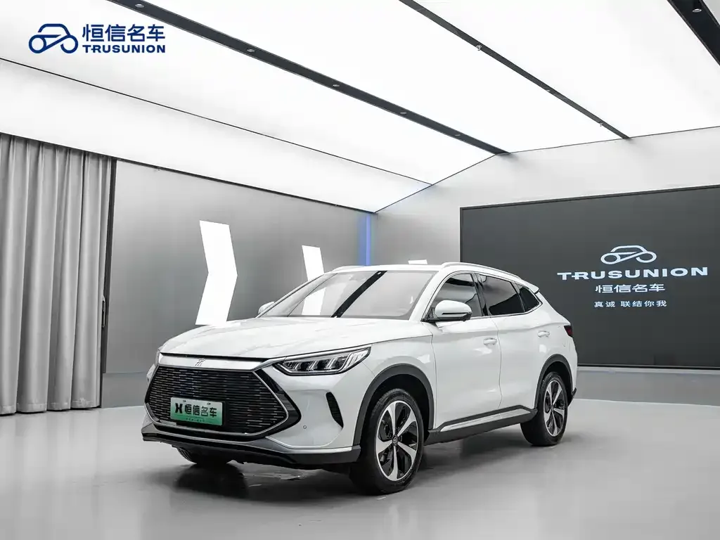 BYD PLUS New Energy 2023 из CN, фото 1