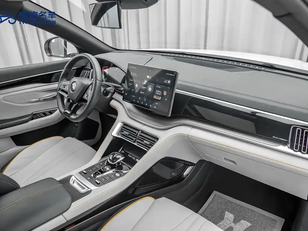 BYD PLUS New Energy 2023 из CN, фото 10