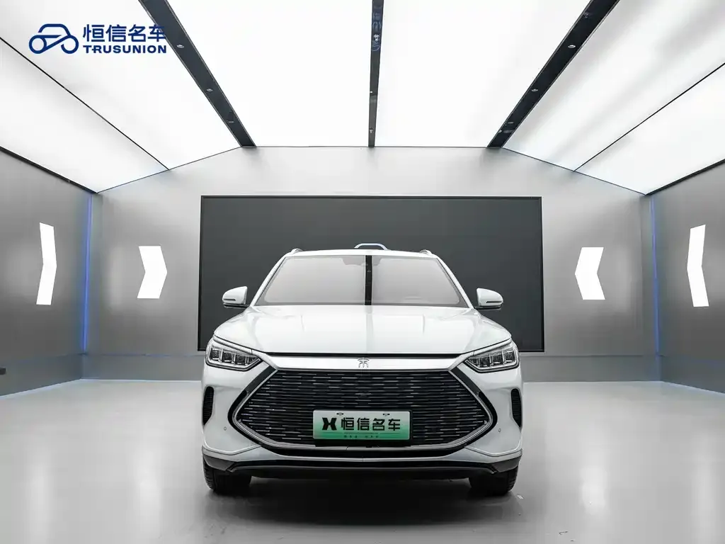 BYD PLUS New Energy 2023 из CN, фото 2