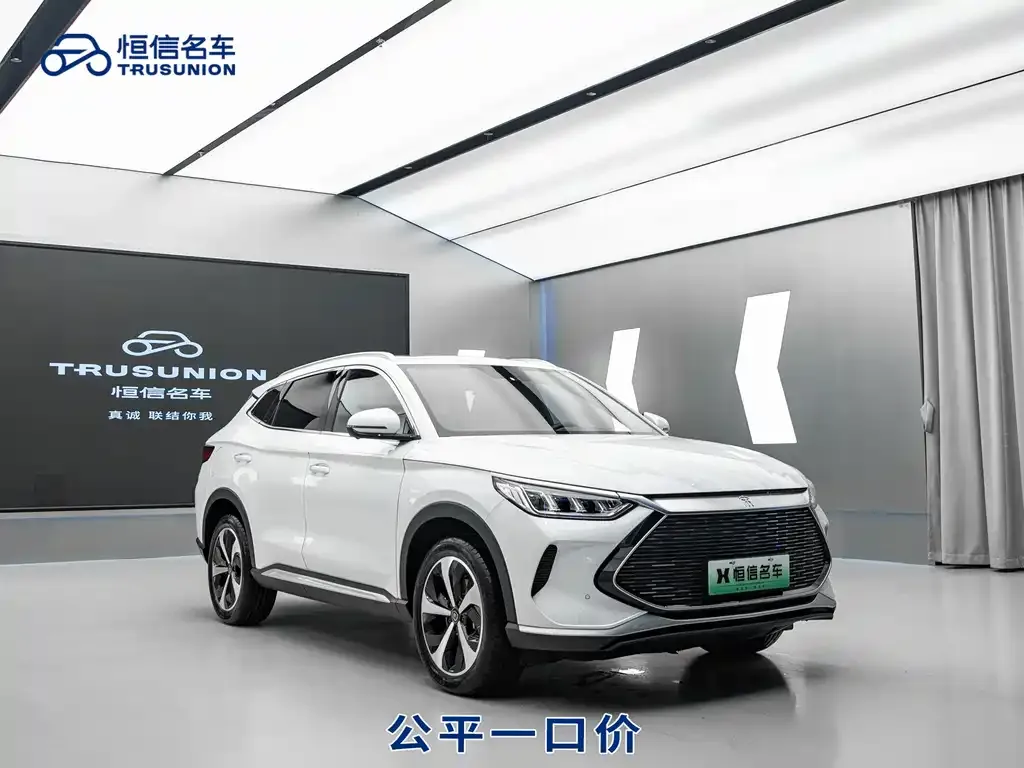BYD PLUS New Energy 2023 из CN, фото 3
