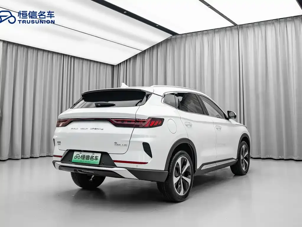 BYD PLUS New Energy 2023 из CN, фото 4