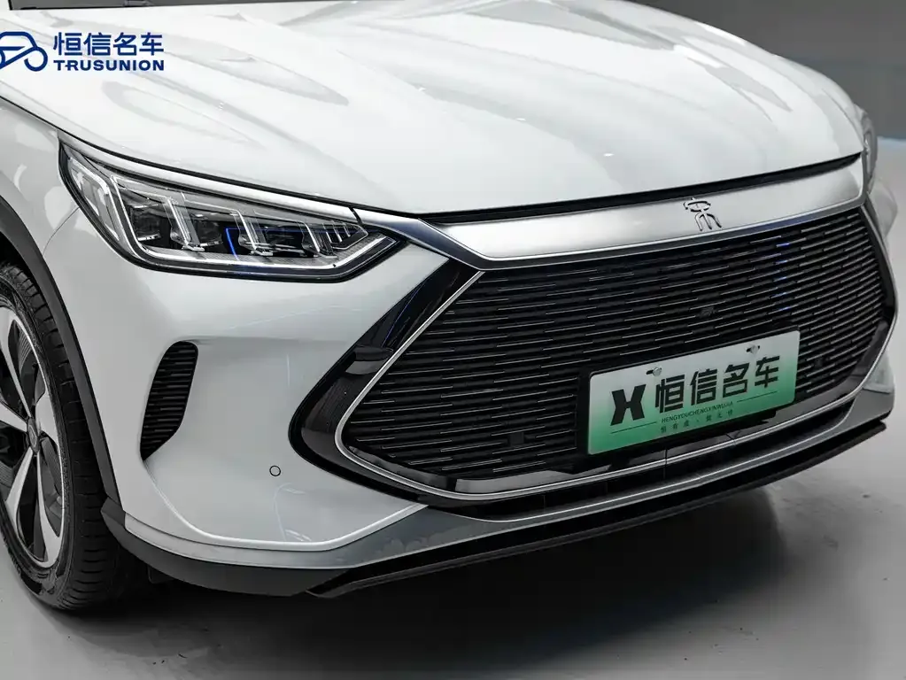 BYD PLUS New Energy 2023 из CN, фото 5
