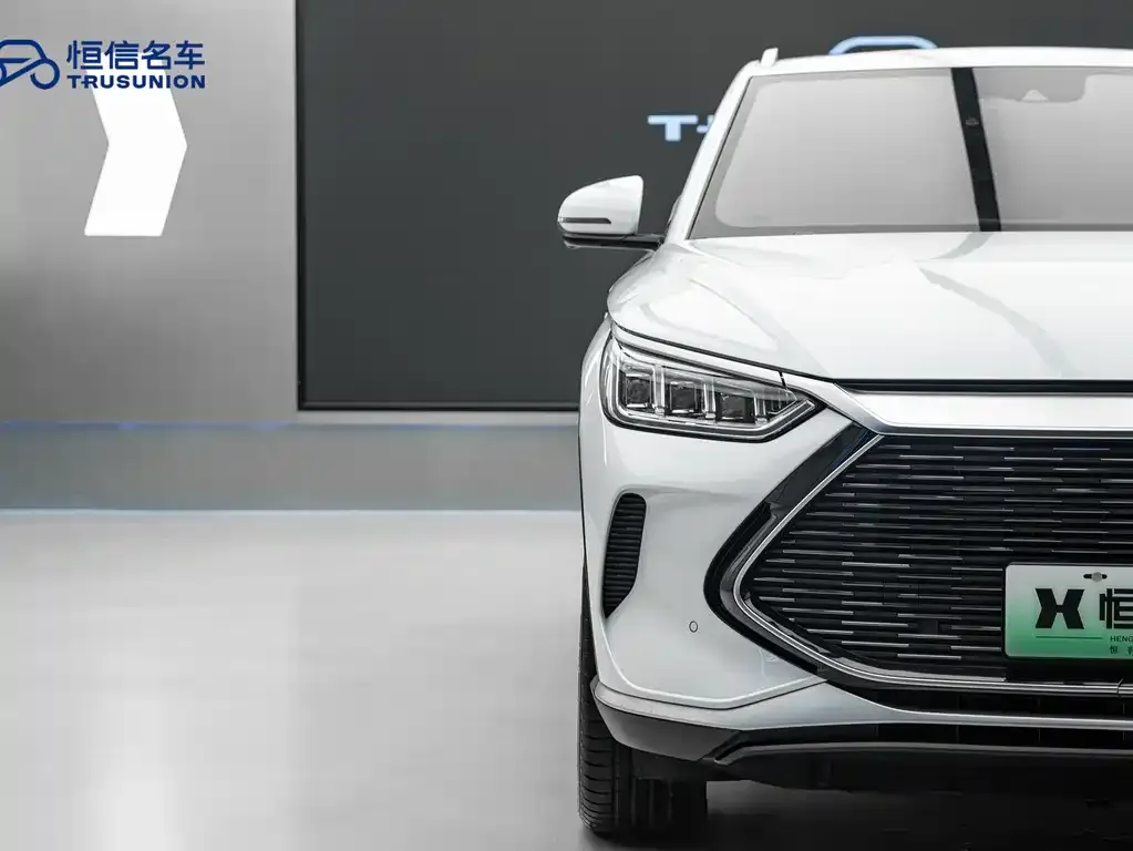 BYD PLUS New Energy 2023 из CN, фото 6