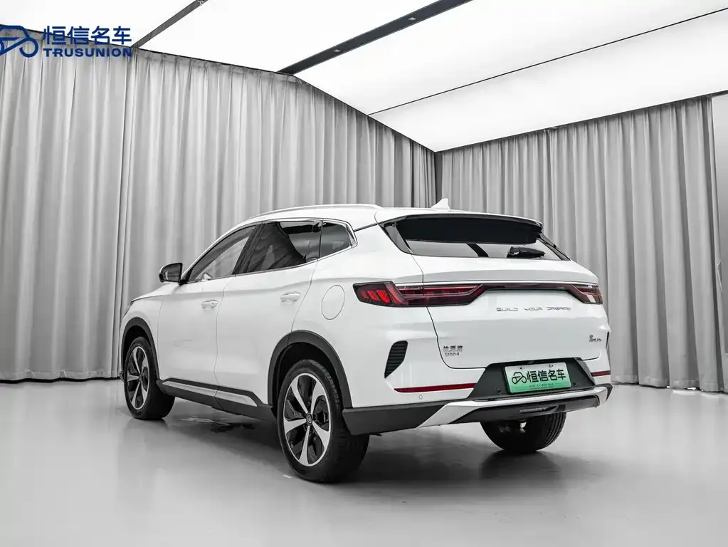 BYD PLUS New Energy 2023 из CN, фото 7