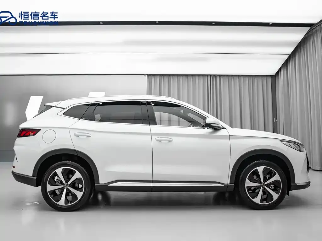 BYD PLUS New Energy 2023 из CN, фото 8