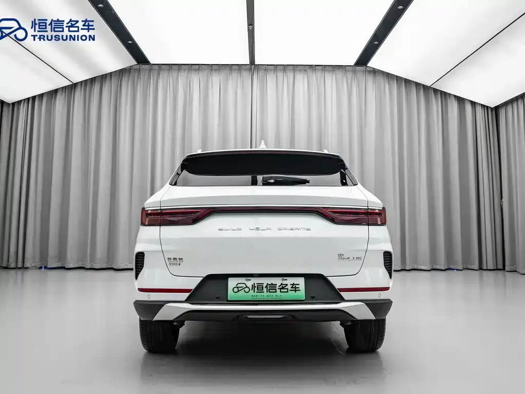 BYD PLUS New Energy 2023 из CN, фото 9