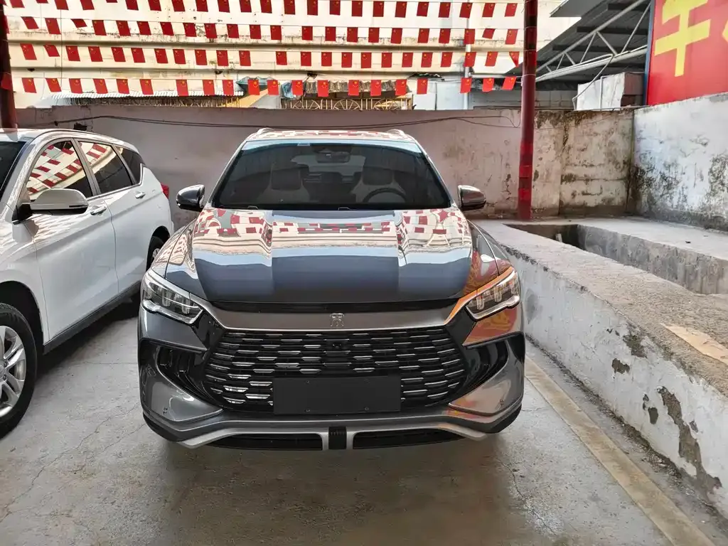 BYD Pro New Energy 2023 из CN, фото 9