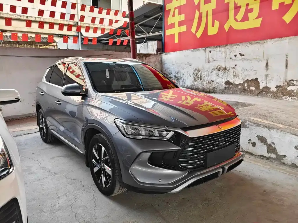 BYD Pro New Energy 2023 из CN, фото 10