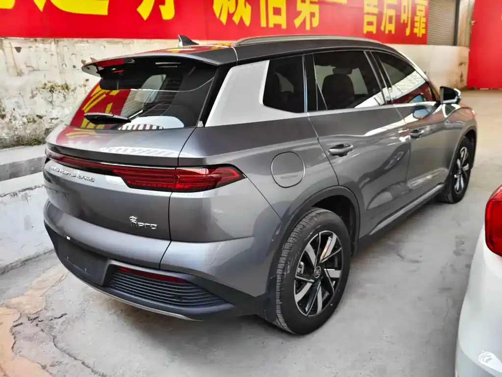 BYD Pro New Energy 2023 из CN, фото 5