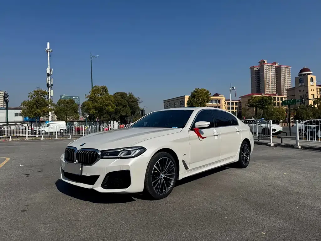 BMW 5 Series 2022 из CN, фото 1