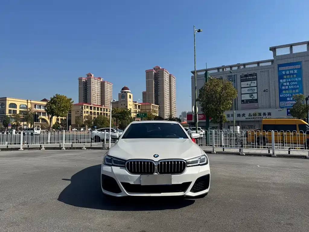 BMW 5 Series 2022 из CN, фото 5