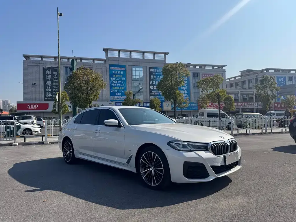 BMW 5 Series 2022 из CN, фото 7