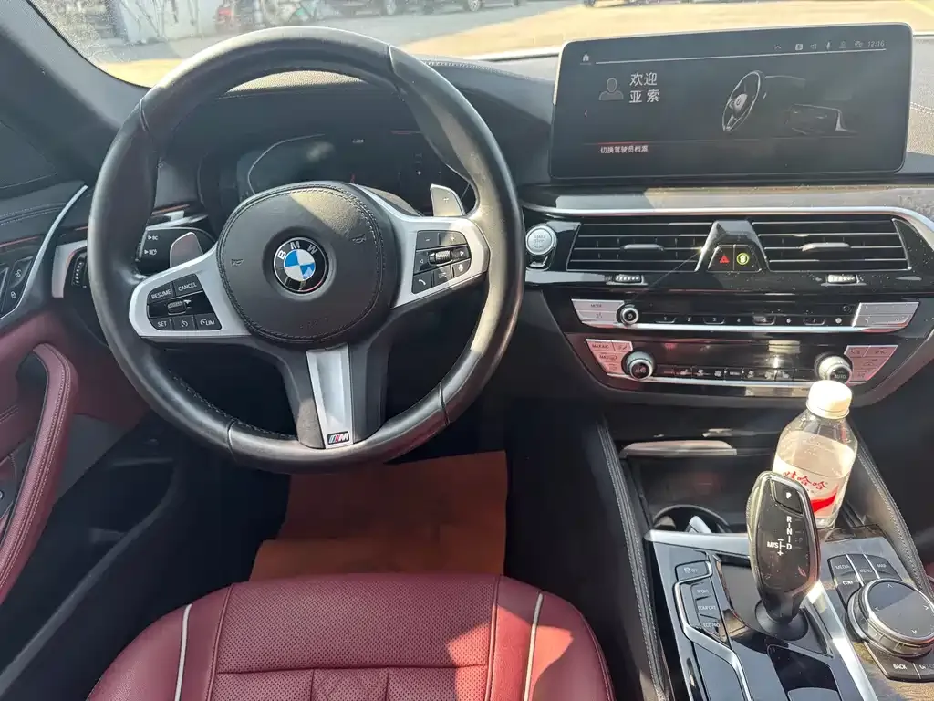 BMW 5 Series 2022 из CN, фото 9