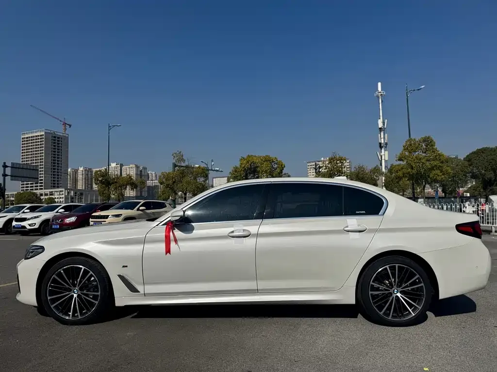 BMW 5 Series 2022 из CN, фото 2