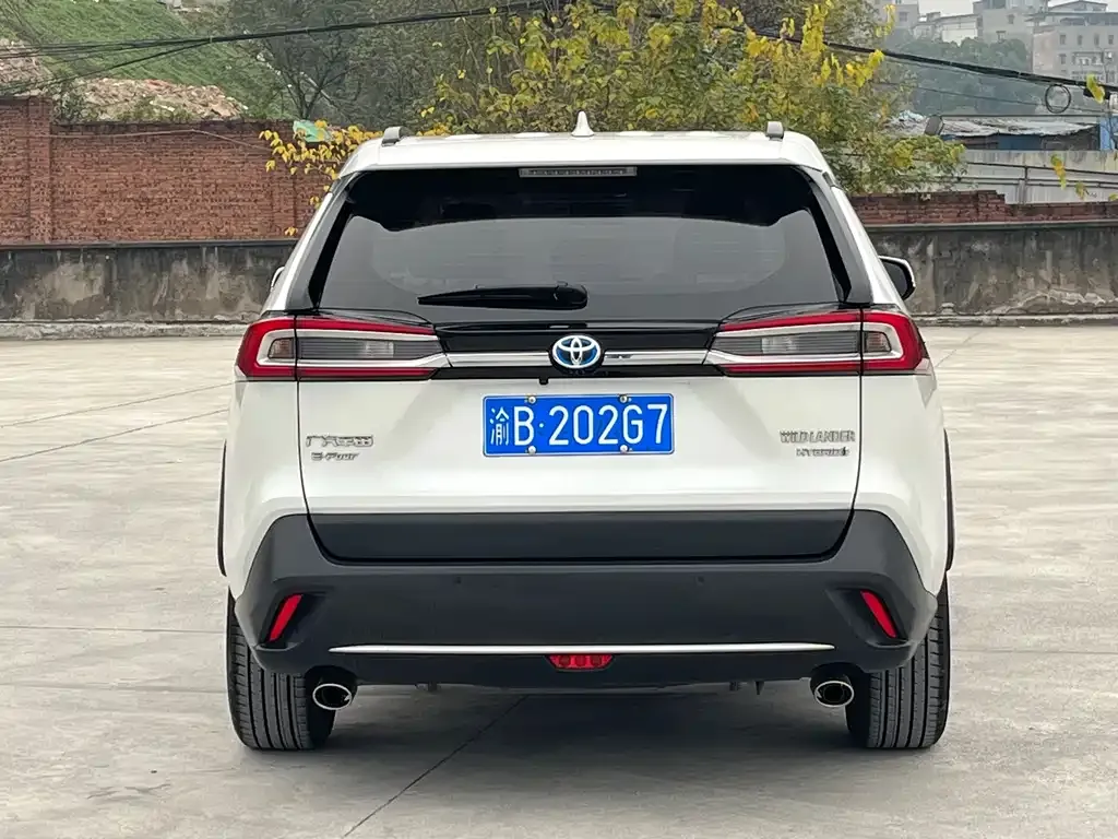 Toyota Wildlander 2023 из CN, фото 7