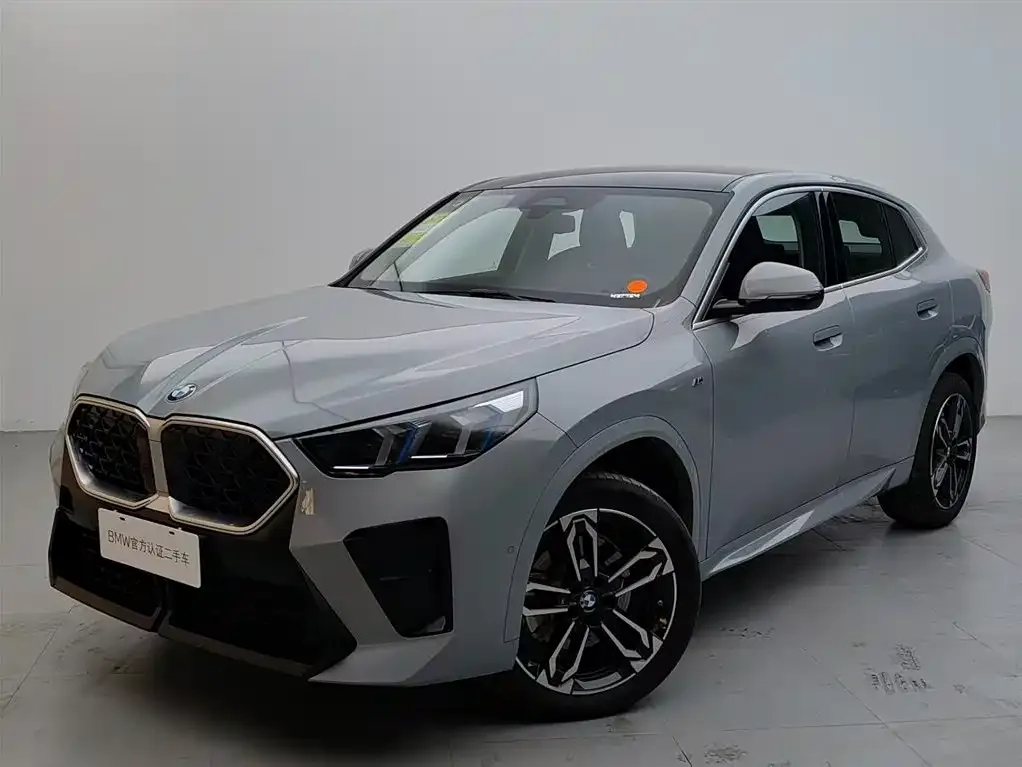 BMW X2 (Import) 2025 из CN, фото 1