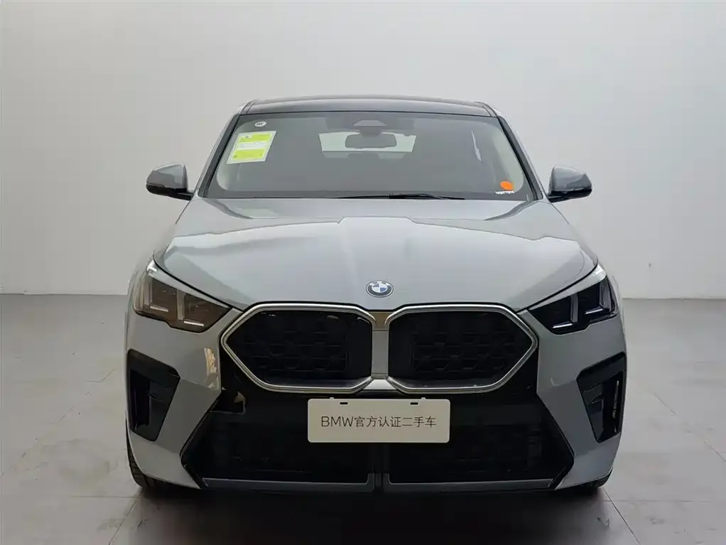 BMW X2 (Import) 2025 из CN, фото 10