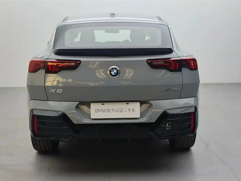 BMW X2 (Import) 2025 из CN, фото 5