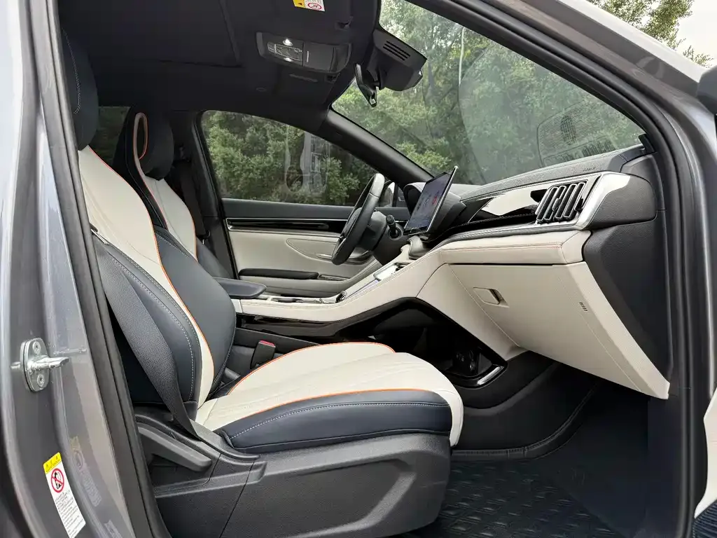 BYD PLUS New Energy 2023 из CN, фото 5