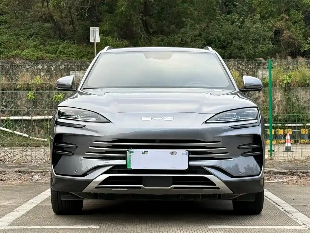 BYD PLUS New Energy 2023 из CN, фото 2