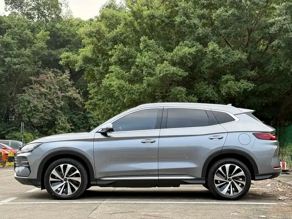 BYD PLUS New Energy 2023 из CN, фото 6