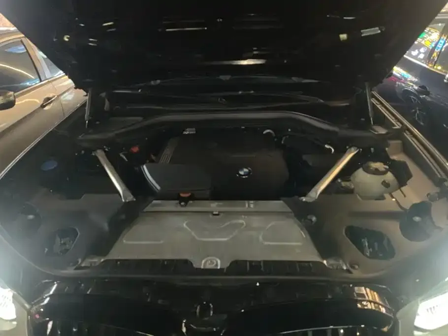 BMW X4 2022 из CN, фото 5