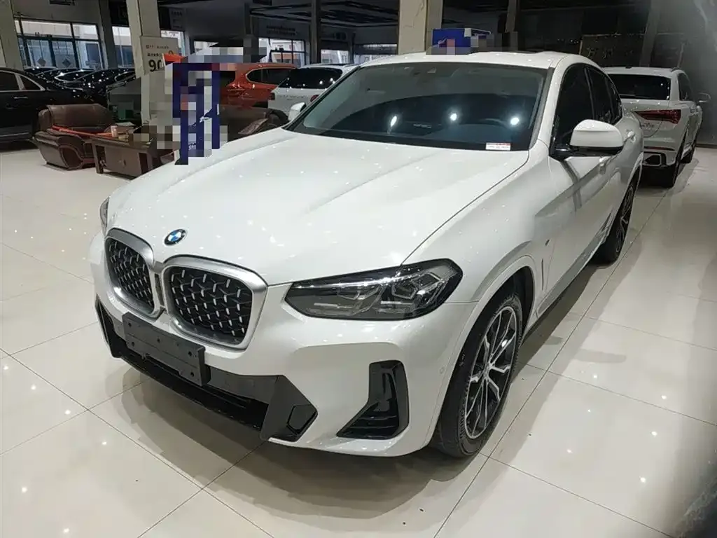BMW X4 2023 из CN, фото 1