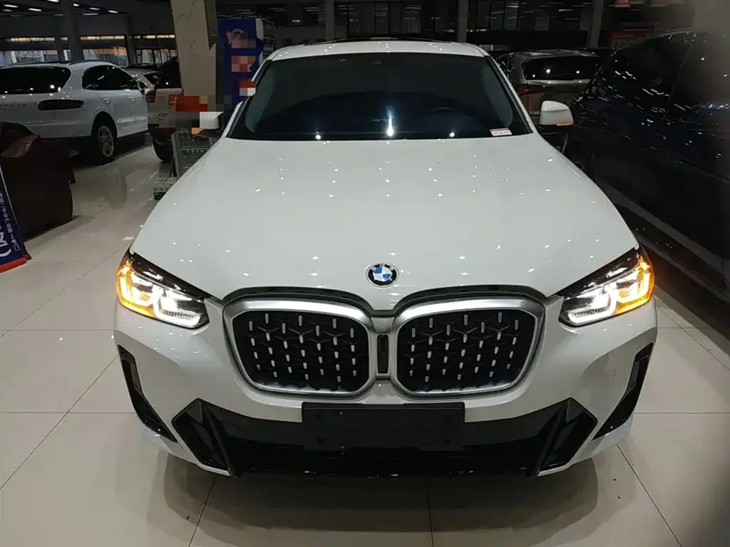 BMW X4 2023 из CN, фото 4