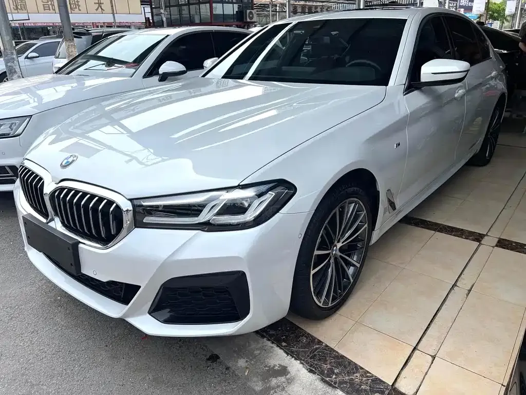 BMW 5 Series 2023 из CN, фото 1