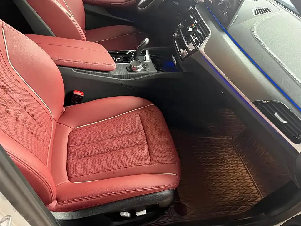 BMW 5 Series 2023 из CN, фото 7