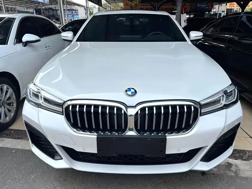 BMW 5 Series 2023 из CN, фото 8
