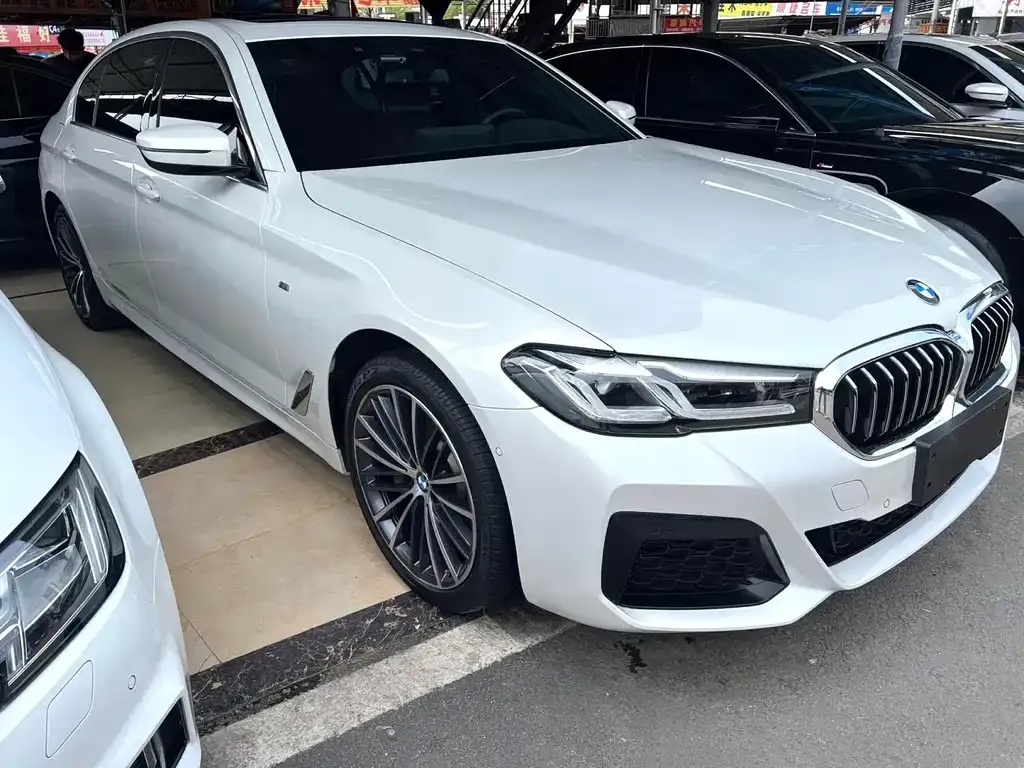 BMW 5 Series 2023 из CN, фото 3
