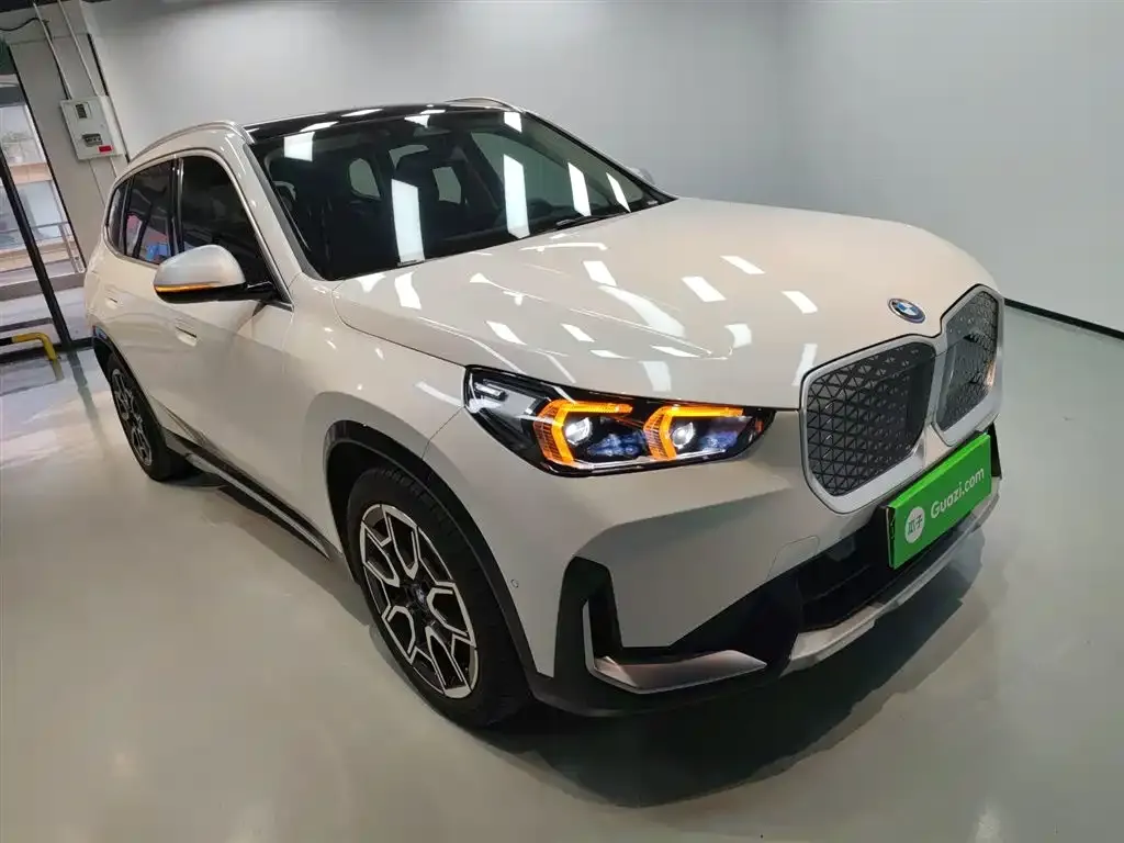 [object Object] iX1 2024 из CN, фото 4