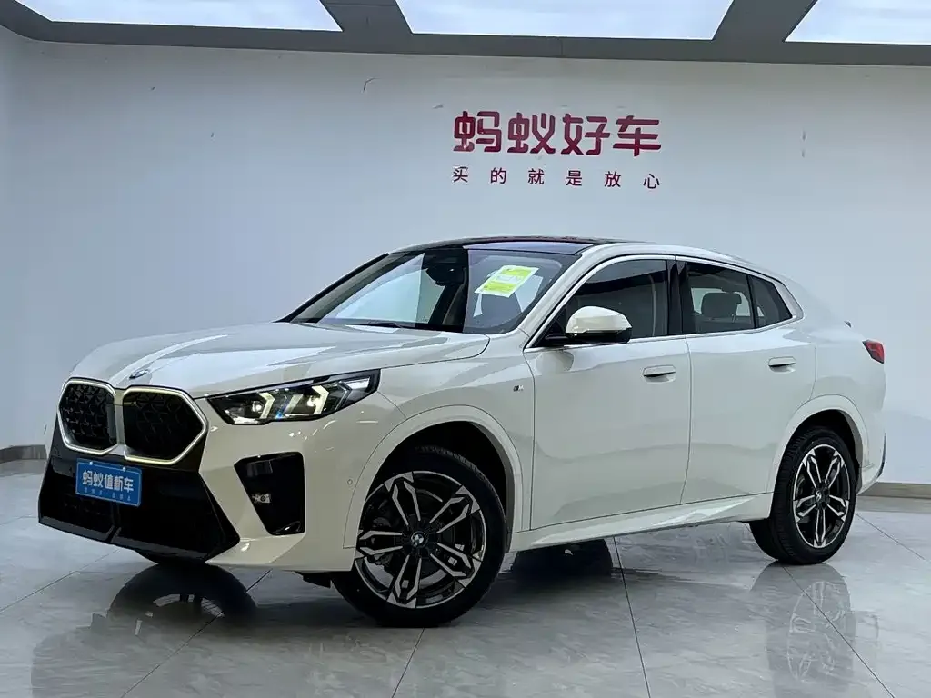 BMW X2 (Import) 2025 из CN, фото 1