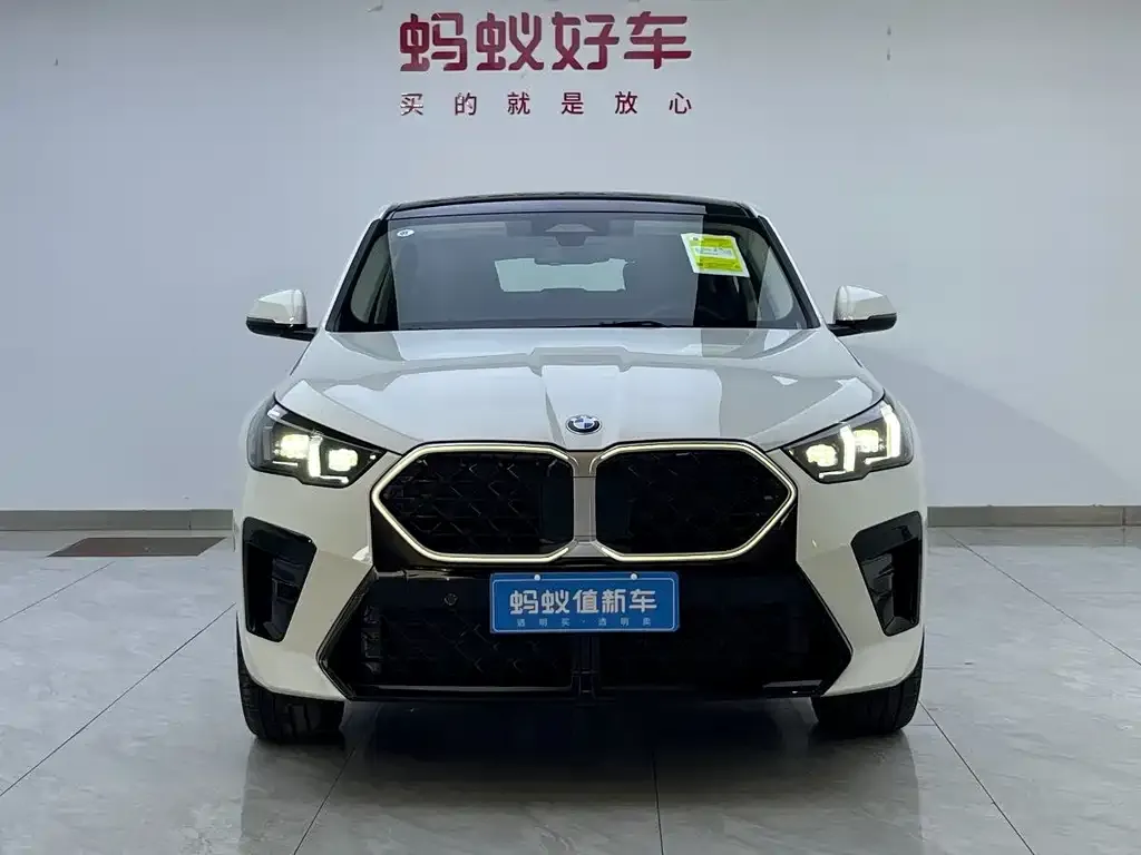 BMW X2 (Import) 2025 из CN, фото 2