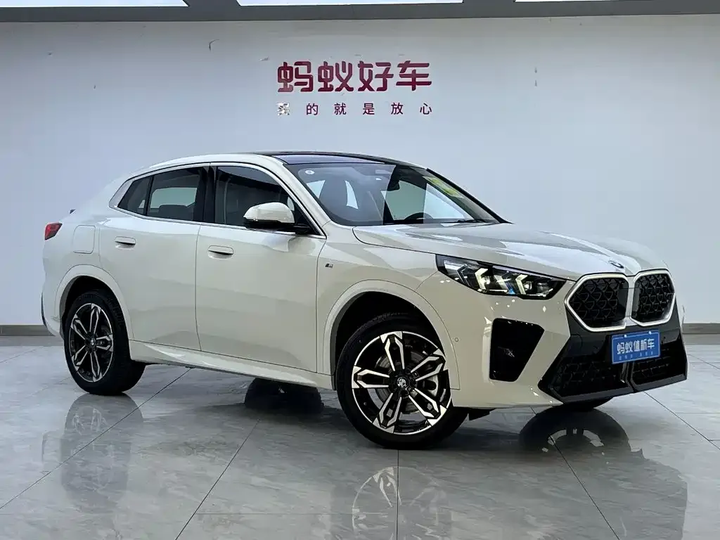 BMW X2 (Import) 2025 из CN, фото 9